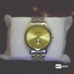 LONGBO Original Brand New Watch Model-5