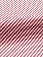 The Stanton Broadcloth Dress Shirt - Red Bengal Stripe - Image 5